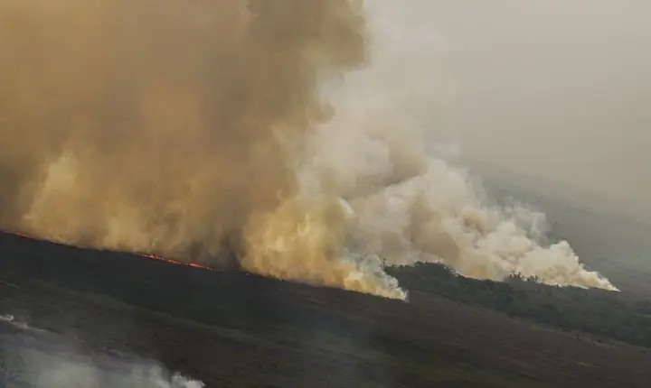 Dino homologa parcialmente plano anti-incêndios na Amazônia e Pantanal