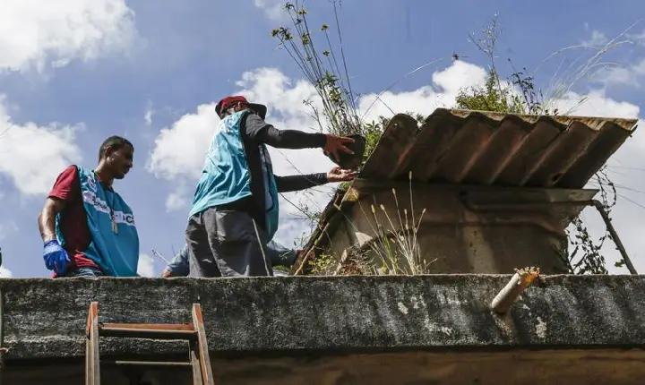 Saúde reforça monitoramento e ações de controle da dengue em 4 estados