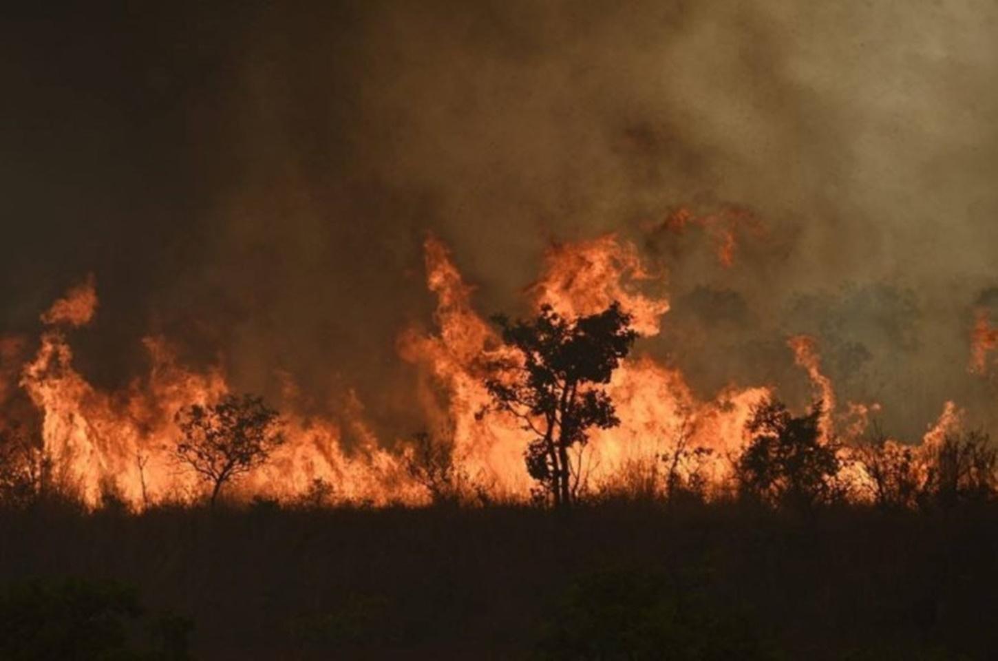 Taxa de queimadas em SP atinge pico raro; autoridades investigam se houve ação criminosa