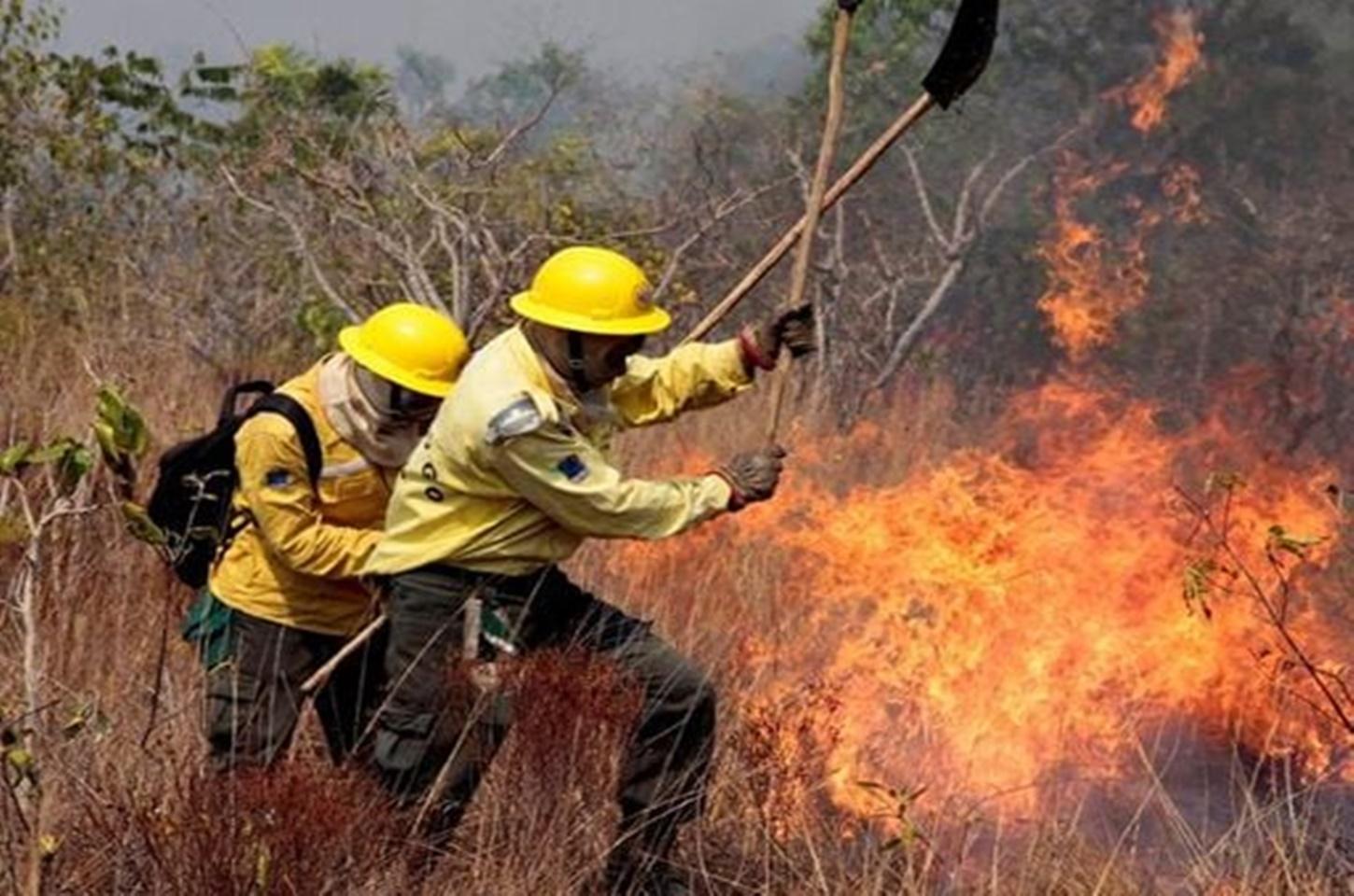 Brasil concentra 76% dos incêndios na América do Sul, aponta Inpe