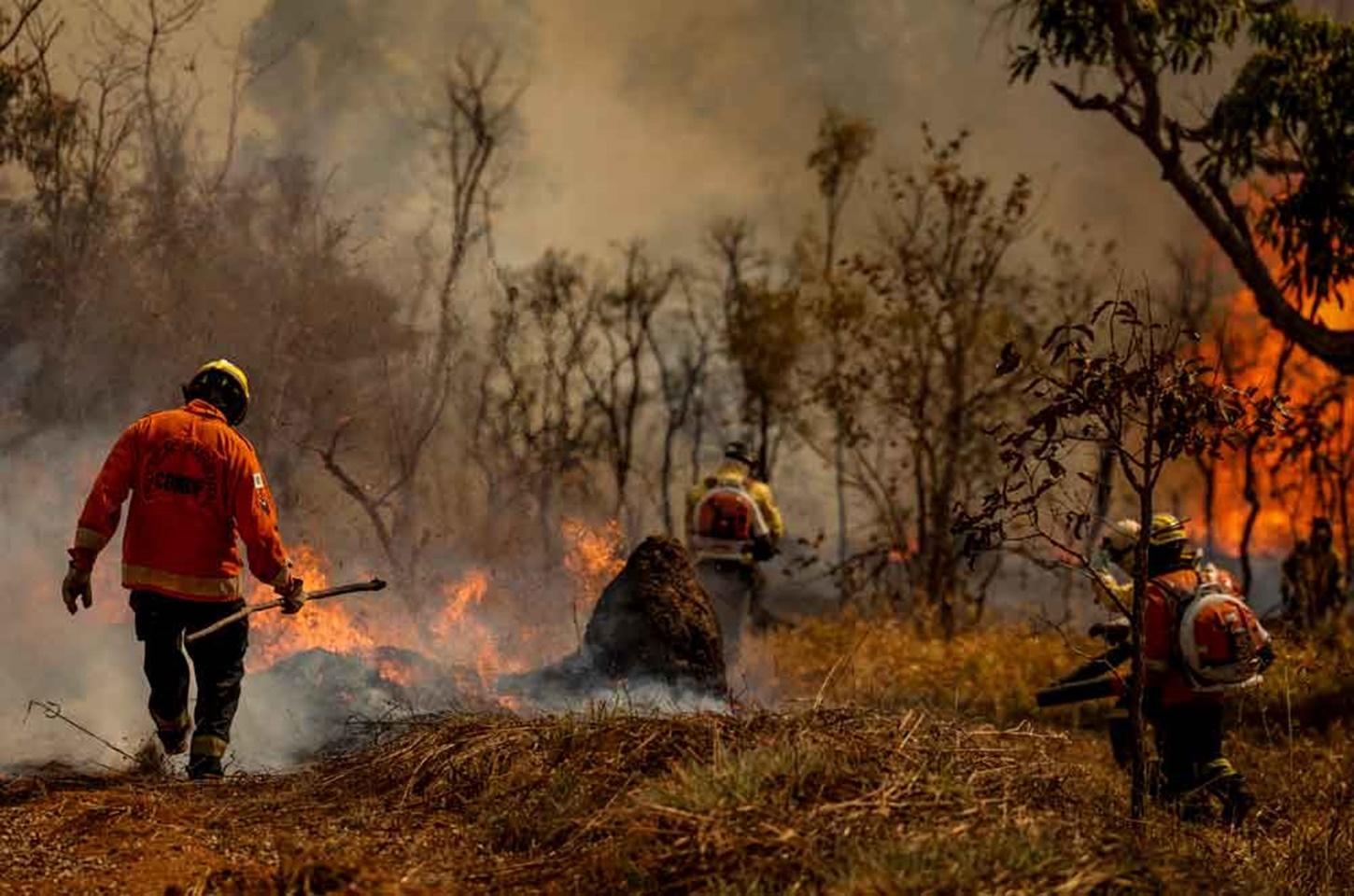 Incêndio destrói 10 mil hectares na Chapada dos Veadeiros