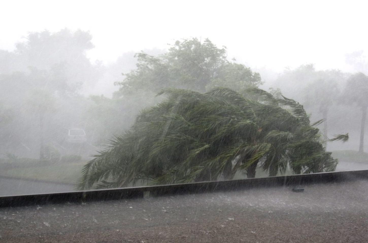 Prefeito de Tampa alerta moradores que não querem evacuar o furacão Milton: 'Vocês vão morrer'