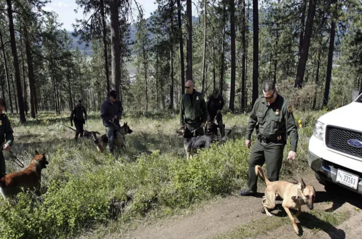 Suspeito de terrorismo da Jordânia é preso na fronteira norte dos EUA: ICE