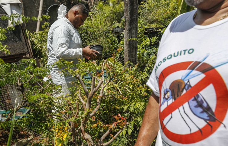 Brasil tem mais de 6,5 milhões de casos prováveis de dengue este ano